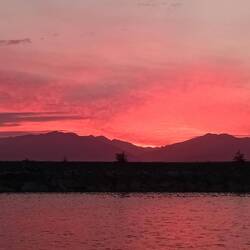 our last evening in Port Tarakohe