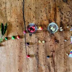 Vom Pflanzerl zur Bohne