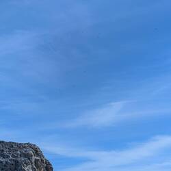 ein besseres Bild haben wir leider nicht, die schwarzen Punkte sind die Geier