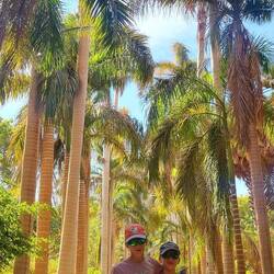 L'île des Fleurs , jardin botanique