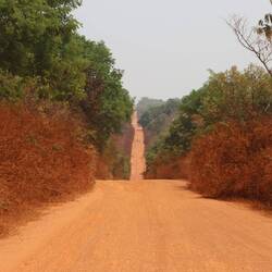 Links und rechts der Straße ist durch den Staub alles abgestorben