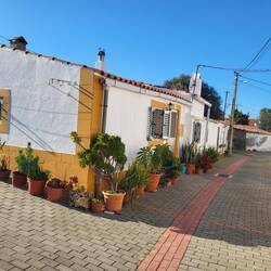 Wieder zurück in Mina de São Domingos.