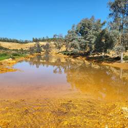 Auch dieses Gewässer lädt nicht zum Baden ein.