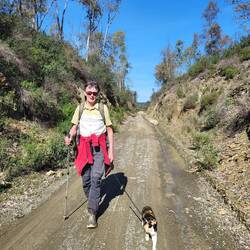 Wir folgen der Bahntrasse.