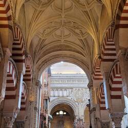 Hier geht's zur nachträglich eingebauten Kathedrale