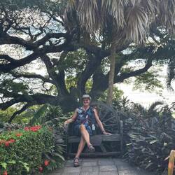 der 400 jährige Samanbaum