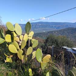 Nationalpark mit Monte Cervati