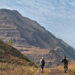 Tagesziel: Mount Nimba