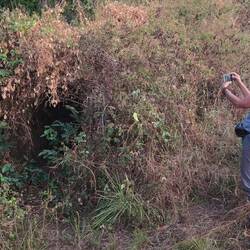 Vor der Fledermaushöhle