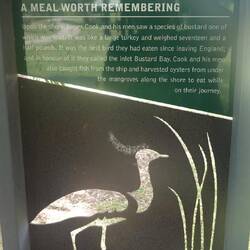 Warum Bustard Head? Deswegen.