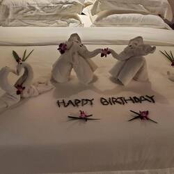 On the foot of my bed!