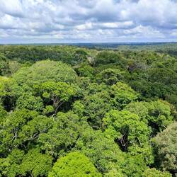 Ausblick vom Beobachtungsturm, MUSA