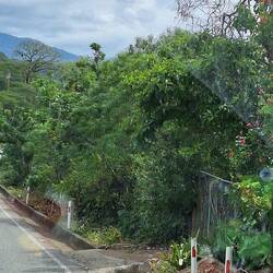 Und die Landschaft wirkt lebendig und aufgeräumt