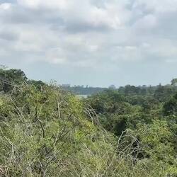 A 360 degree view from Jelutong Tower.