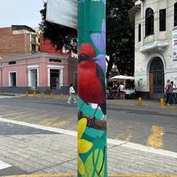 Even telephone poles were used as canvases