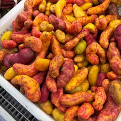 We love visiting grocery stores. Peru is where potatoes originated and there are countless varieties
