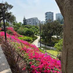 Stunning landscaping