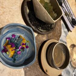 Every course was presented with descriptions