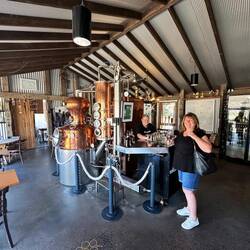 Wild Brumby Schnapps tasting room
