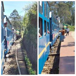 The train