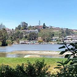 Ooty Lake, also called Ooty Boathouse, was man-made by the British in 1824