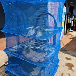 Sun dried fish