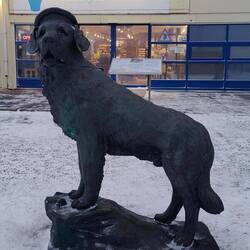 Der legendäre Bamse