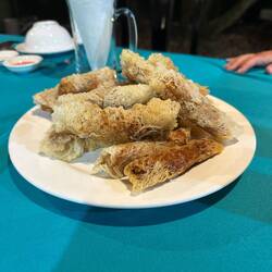 Very crispy spring rolls.