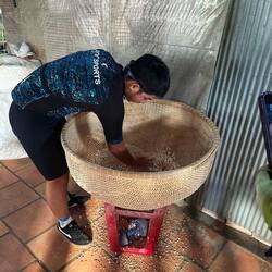 Sifting the rice-getting hulls and sand out after it's popped