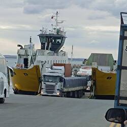 Ectrecha Magghelanes