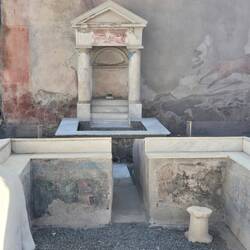 An interior garden with fountain