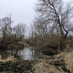 Reidemündung in Weiße Elster