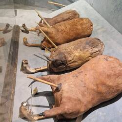 Der tunesische Dudelsack?