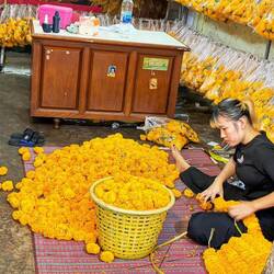 Auffädeln für die schönen Blumenschlangen