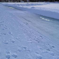 Spaziergang auf dem See - und das Eis hält