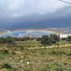 Ein phänomenaler 🌈 Regenbogen