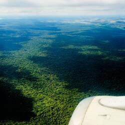 A dense carpet of trees covers every inch of land ... en route to IGR.