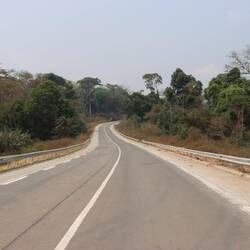 ... über eine traumhafte Urwaldpiste