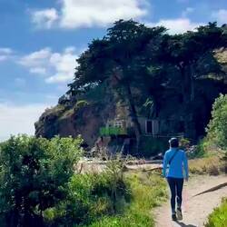 Taylor's Mistake Beach and the start of the Godley Head Loop Track