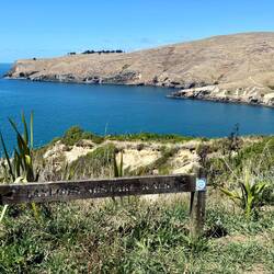 Our unintended second hike on the Taylors Mistake to Sumner Beach Track
