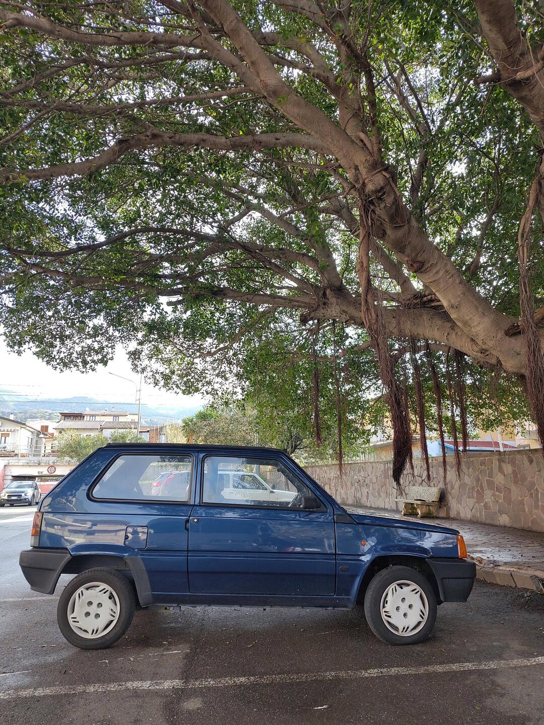 Panda everywhere ❤️