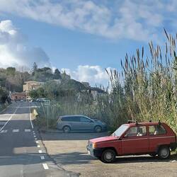 Panda everywhere ❤️