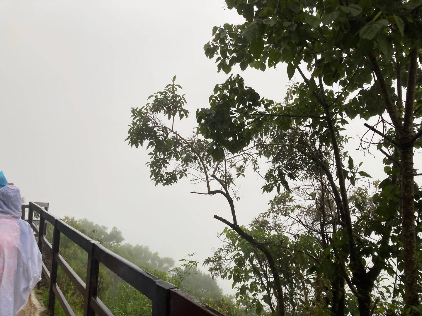 😖Nüscht zu sehen.