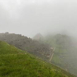 Oh, es lichtet sich.