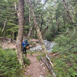 Am nächsten Tag ging es hinein in die Wälder...
