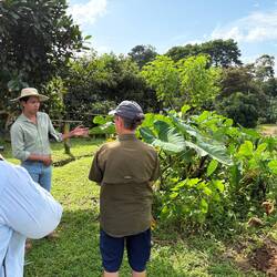 Alejandro und Sigi erklärten uns viel über die Pflanzen