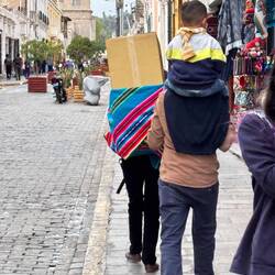 Transporting a box home in a scarf/backpack