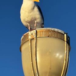 .... auf die Kameraden im Wasser wirft 👀