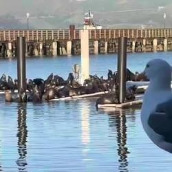 Muss man mit Ton anschauen