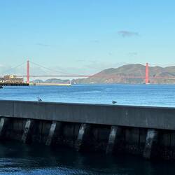 Darf nicht fehlen: Der erste Blick auf die Golden Gate 🌉
